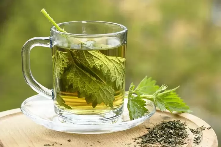 rebusan herba untuk diet minum